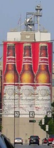 budweiser budweiser