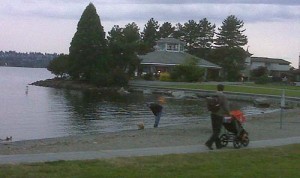 lakewithpuppy