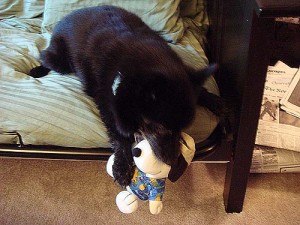 basilandsnoopy1