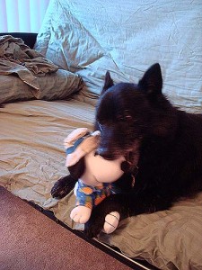 basilandsnoopy2