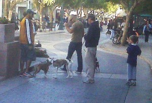 dogsatsantamonica