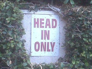 headinonly The sign said Head In Only