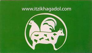 itzikhagadolcardback itzikhagadolcardback