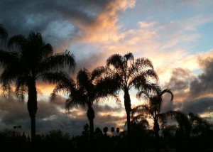 Sunset In The Valley