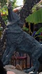 Bird on the nose of a coyote statue
