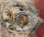 Amber
