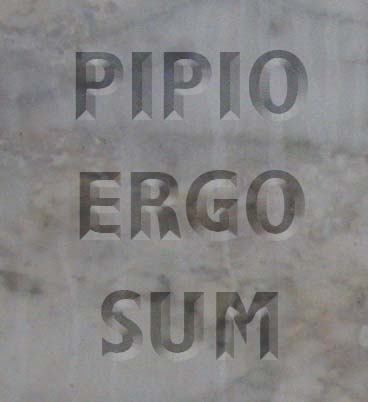 Pipio ergo sum - I tweet therefore I am Pipio ergo sum - I tweet therefore I am
