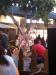 A tree with notes attached in Little Tokyo