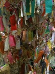A detail of the notes attached to the tree