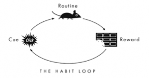 Habit loops Habit loops