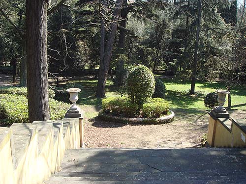 View of garden