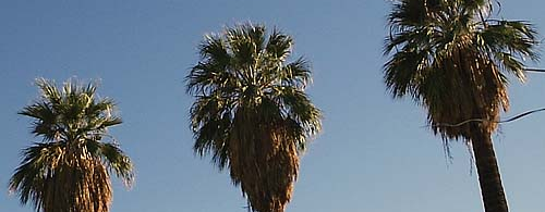 Palm Desert, March 10 – 15, 2005