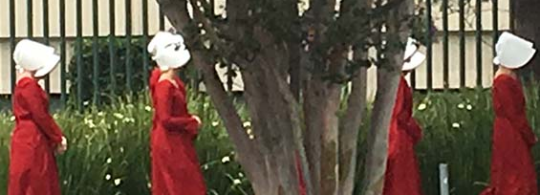 The Handmaids of West Hollywood