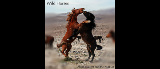 A new cover song – Wild Horses