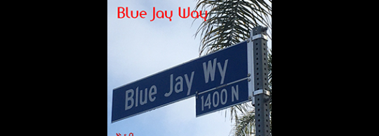 New cover song – Blue Jay Way