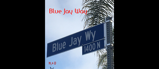 New cover song – Blue Jay Way