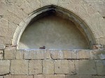 A pigeon hanging out in a niche