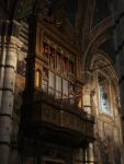 The organ pipes