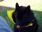 Iggy says, "That was tasty!"