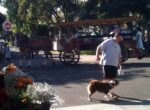 Horse carriage