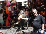 I touched his nose on each trip so far - when will I return next?