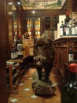 A stuffed boar in a store