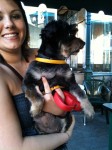 The dog was so cute at dinner I needed to take a picture