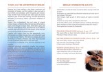 Tamo pamphlet p. 2
