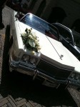 The wedding party drove a Caddy