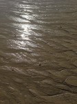 Wet sand in afternoon light