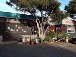 The Reel Inn